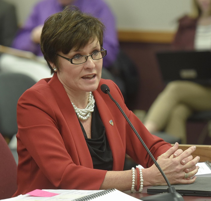Missouri Department of Corrections Director Ann Precythe testifies to the House Budget Committee February 14, 2017. (photo; Tim Bommel, Missouri House Communications)